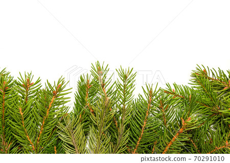 Christmas background. Eve framework 70291010