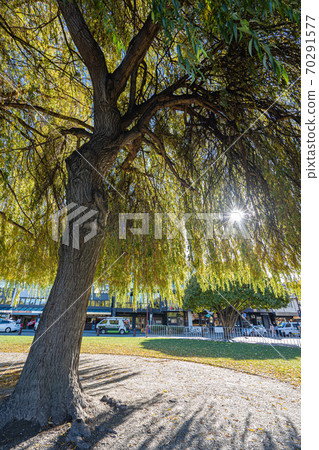 Queenstown Queenstown 70291577