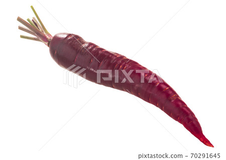 Purple Haze carrot (Daucus carota taproot) w/ tapered tip, isolated Purple Haze carrot (Daucus carota taproot) w/ tapered tip, isolated 70291645