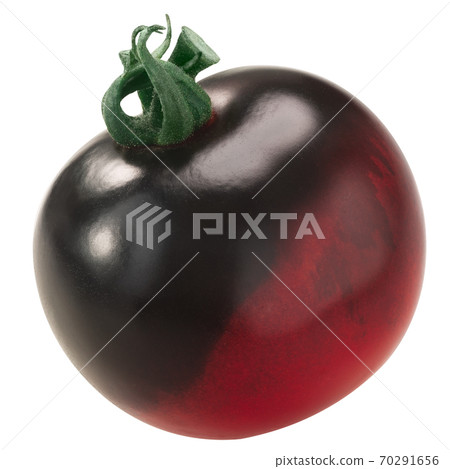 Indigo Rose heirloom tomato, isolated Indigo Rose heirloom tomato, isolated 70291656