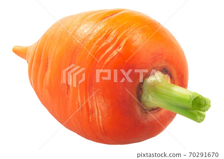 Short Rondo carrot (Daucus carota taproot)  isolated 70291670