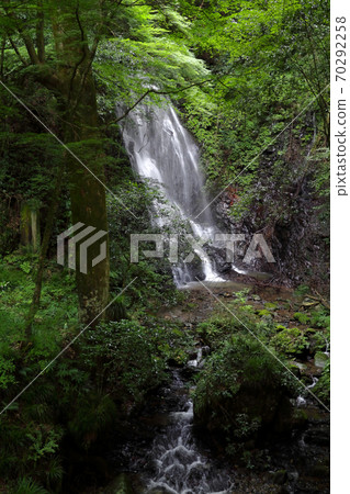 浪漫的茨城縣（Tamatan no Taki，對瀑布的外觀著迷的德川光明（Mitsuru Tokugawa）在瀑布中看到了觀音菩薩。） 70292258