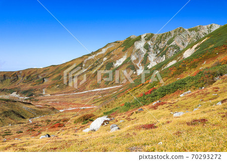Tateyama of autumn leaves "Kami no Michi" course Superb view mountain trail 70293272