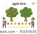 Autumn harvest, apple plantation. Apple picking together. 70293638