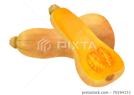 Butter nut pumpkin Butter nut pumpkin 70294151