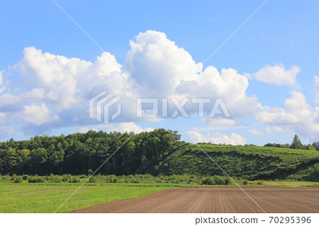 北海道富良野的田野 北海道富良野的田野 70295396