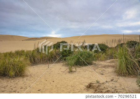 Te Paki Giant Sand Dunes in Pukenui, New Zealand 70296521