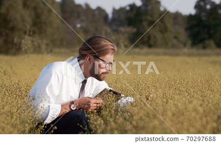 Technician examining crops using tablet Technician examining crops using tablet 70297688