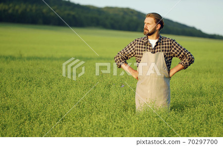 Agriculturist standing among green field Agriculturist standing among green field 70297700