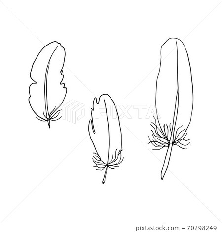 Bird feathers set outline illustration, hand drawn vector black and white isolated objects image Bird feathers set outline illustration, hand drawn vector black and white isolated objects image 70298249