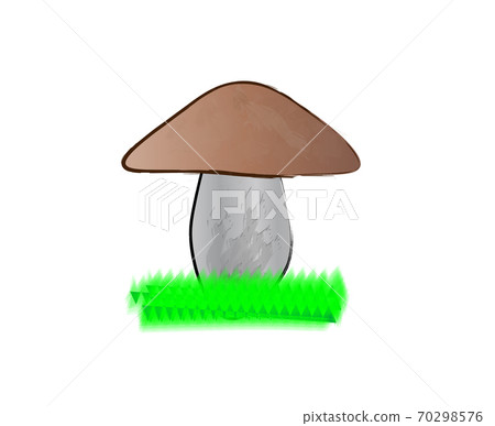 Brown mushroom on green grass, vector illustration Brown mushroom on green grass, vector illustration 70298576