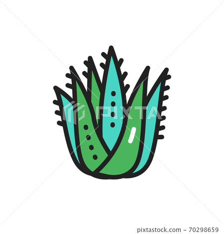 Aloe plant color line icon. Vector illustration Aloe plant color line icon. Vector illustration 70298659