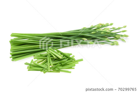 Chives flower or chinese chive isolated on white background Chives flower or chinese chive isolated on white background 70299765