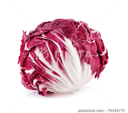Radicchio, red salad isolated on white background 70299775