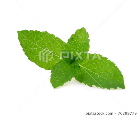 Mint leaves isolated on white background. 70299779