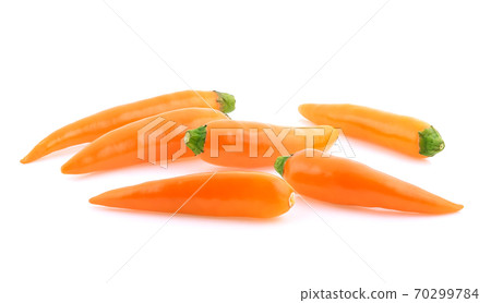 Yellow chili pepper isolated on white background Yellow chili pepper isolated on white background 70299784