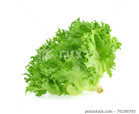 fresh frillice iceberg isolated on white background 70299793