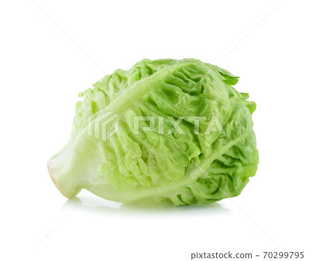 fresh baby cos (lettuce) on white background fresh baby cos (lettuce) on white background 70299795
