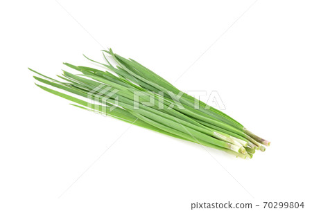 Garlic chives isolated on white background 70299804