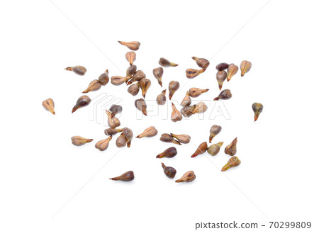 grape seed isolated on white background 70299809