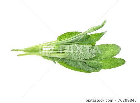 Top view of Sage herb isolated on white background 70299845