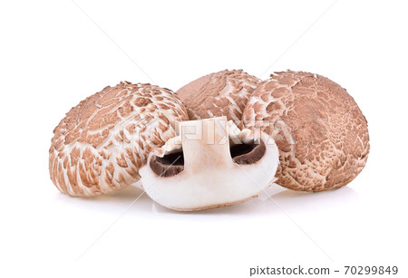 Shiitake Mushrooms isolated on white background 70299849
