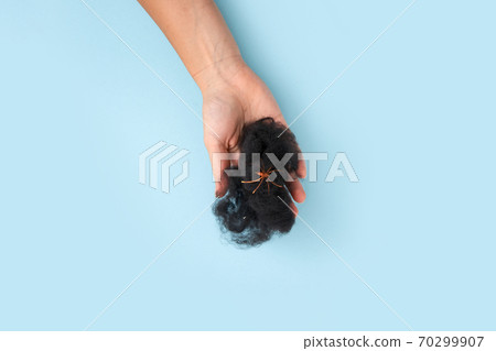 Woman hands with spiderweb and web in it. Halloween flat lay Woman hands with spiderweb and web in it. Halloween flat lay 70299907