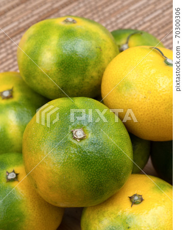 Early-maturing oranges 70300306