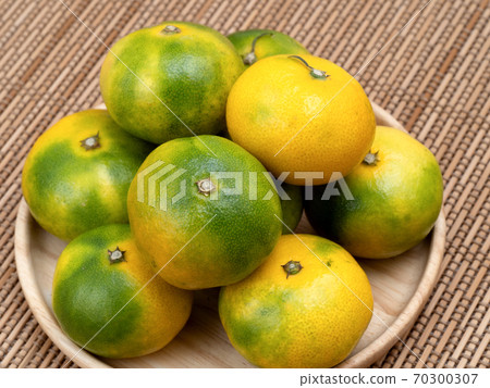 Early-maturing oranges 70300307