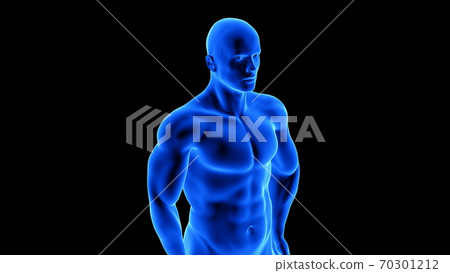 male fitness body - muscle mass building illustration on black background 70301212