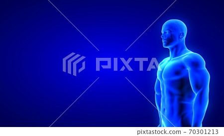 male fitness body - muscle mass building illustration on blue background 70301213