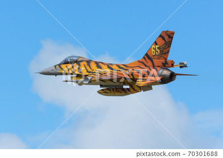 比利時空軍F-16 MLU 31tigersqn 比利時空軍F-16 MLU 31tigersqn 70301688