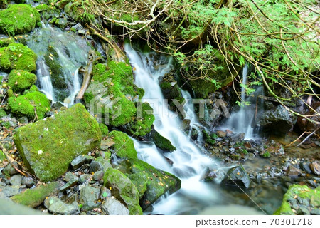 長滿苔蘚的山谷流 長滿苔蘚的山谷流 70301718