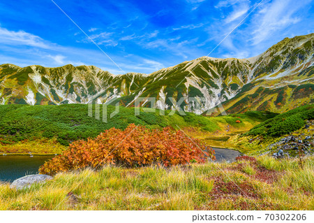 Midori在立山山脈池塘上看到的秋天風景 70302206