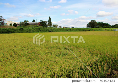 inaho的風景 inaho的風景 70302483