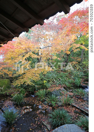 秋天秋天庭院 70302889