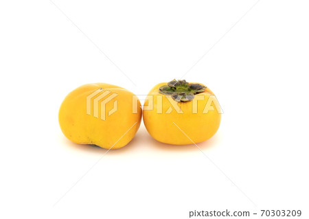 persimmon persimmon 70303209