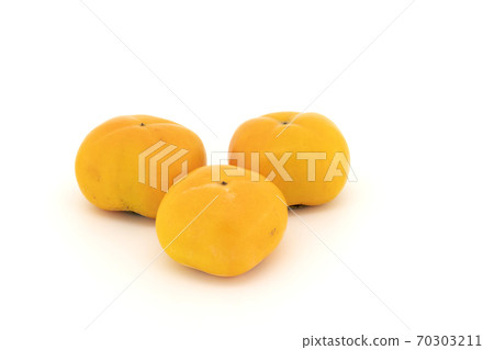 persimmon persimmon 70303211
