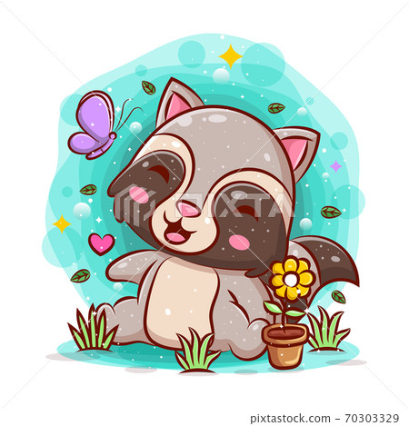 Garden raccoon How to