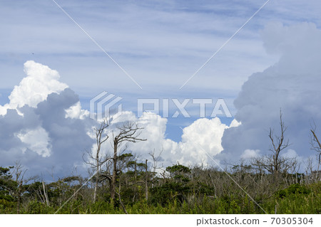 洶湧的雲層湧現 70305304