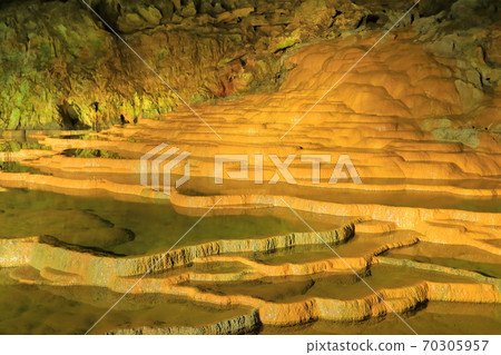 [山口縣]百張昭和堂 70305957