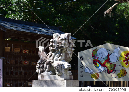 阿姑的守護狗在天狗神社禮拜堂前 阿姑的守護狗在天狗神社禮拜堂前 70305996