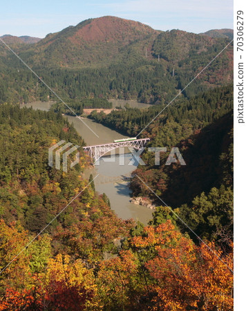 Autumn leaves 70306279