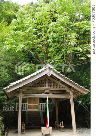海葉神社的穗木 70307003
