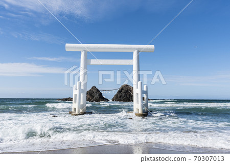 櫻井二tam浦Me 櫻井二tam浦Me 70307013