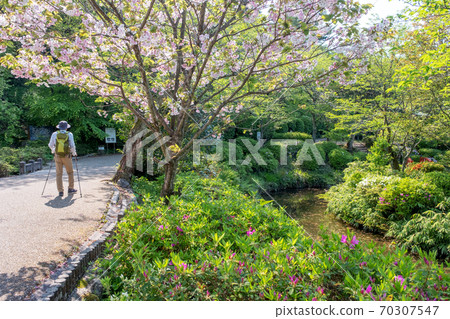 Utsubuki Park Fresh green trekking 70307547