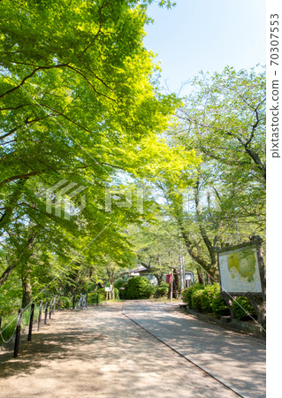 Utsubuki Park Fresh green trekking 70307553