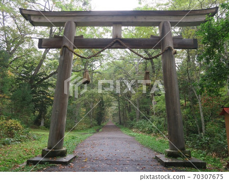 在鳥樂神社內神社入口處建造的鳥居 在鳥樂神社內神社入口處建造的鳥居 70307675
