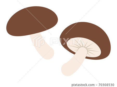 Shiitake mushroom 70308530