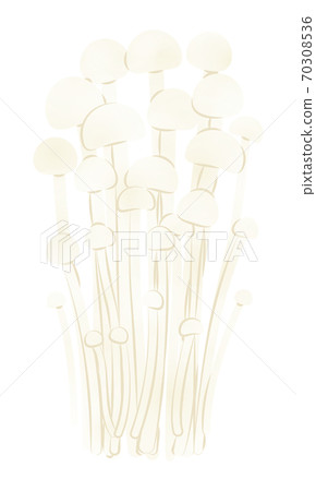 Enoki Enoki 70308536
